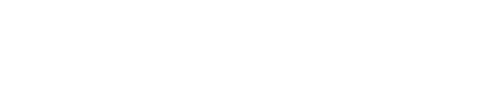 Логотип SF Education